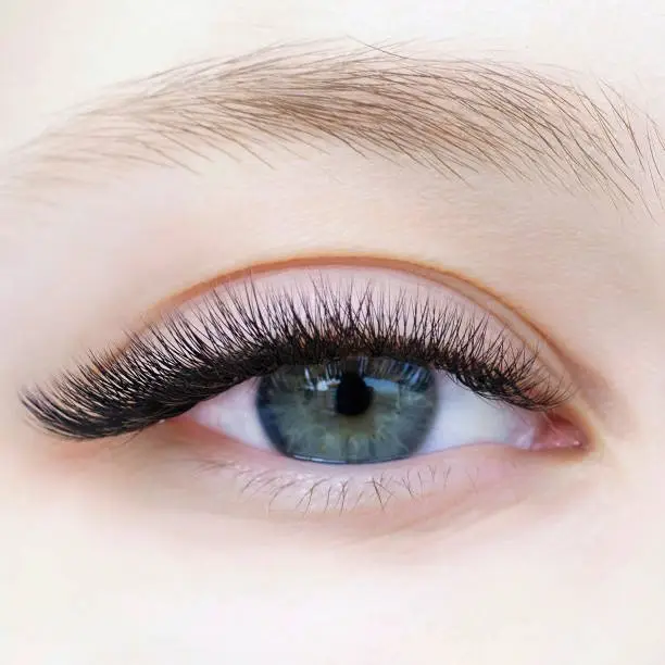 Synthetic Lashes